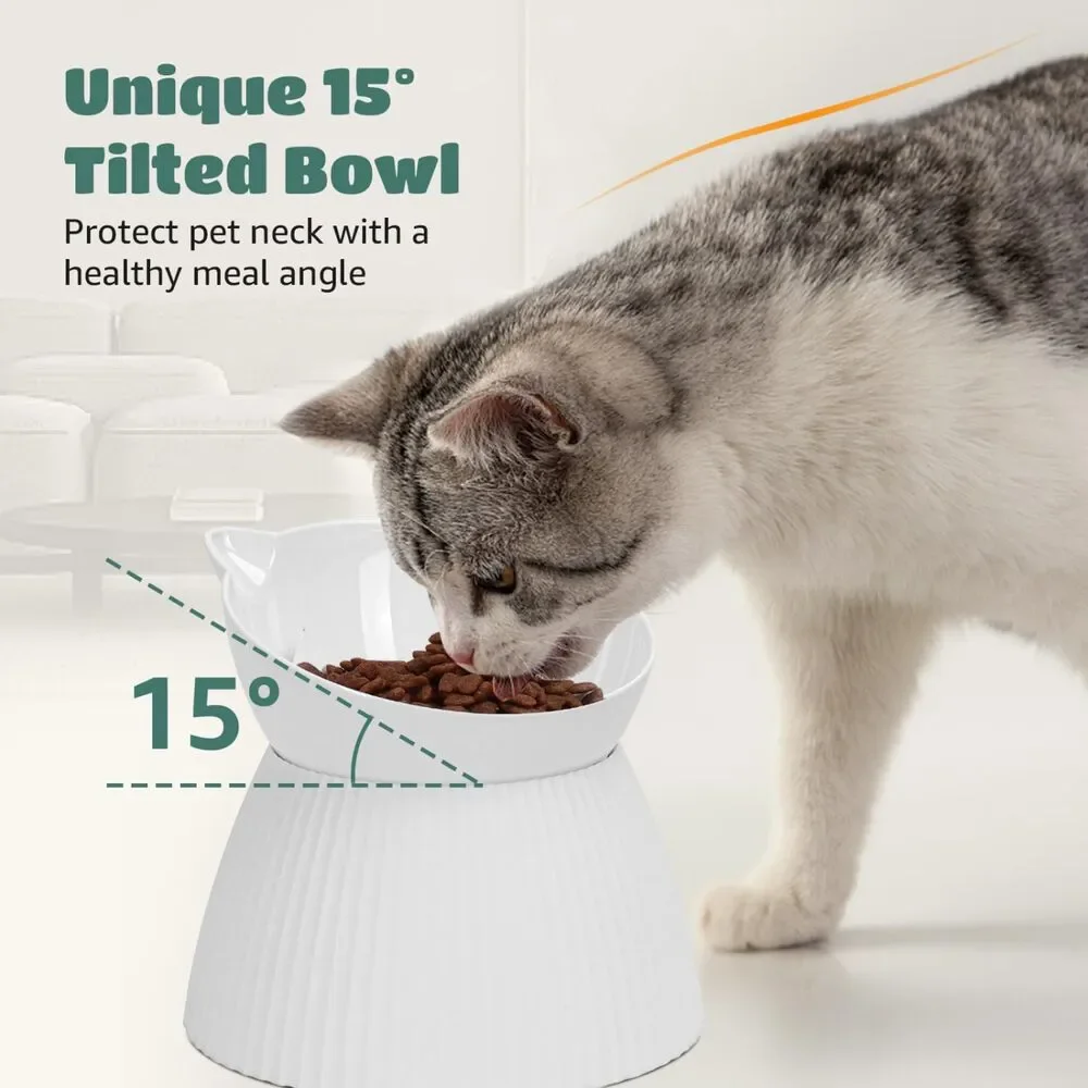 New 3-in-1 Raised, Whisker Friendly, Slow Feeder Pet Bowl